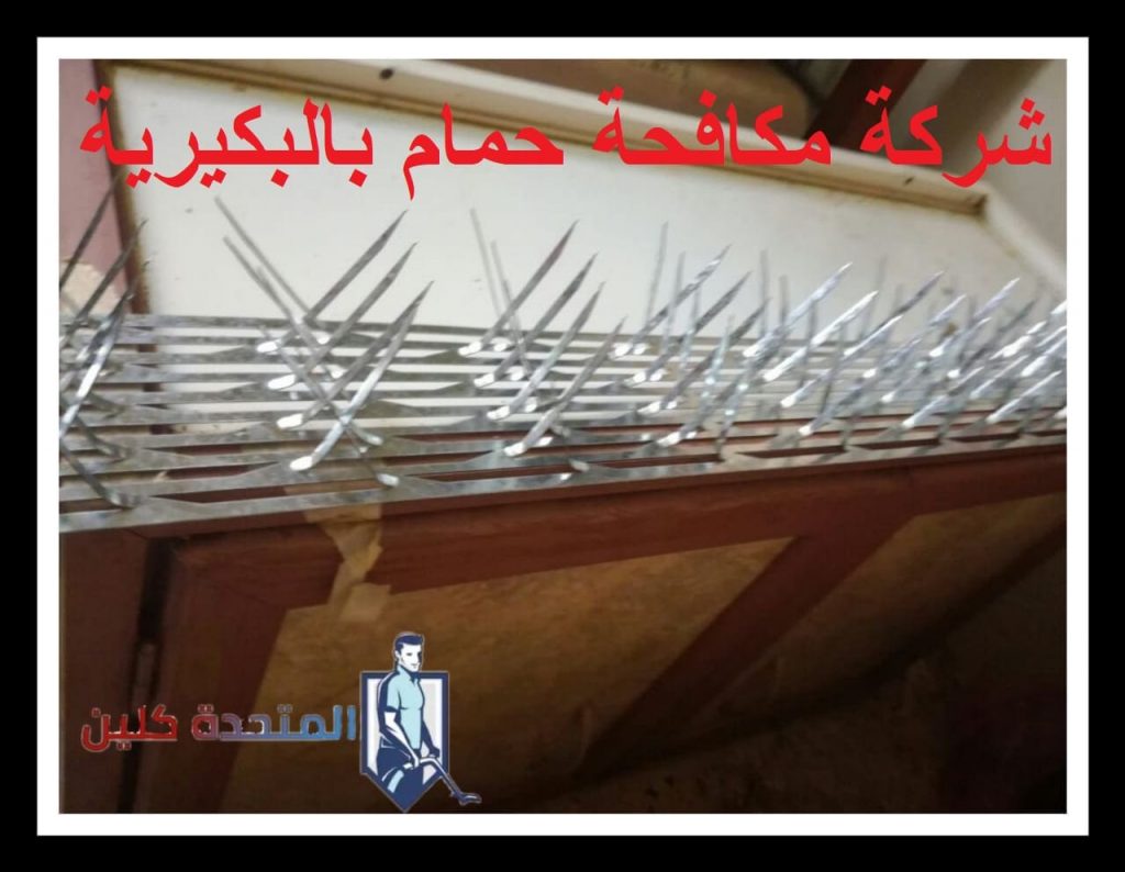 شركة مكافحة حمام بالبكيرية