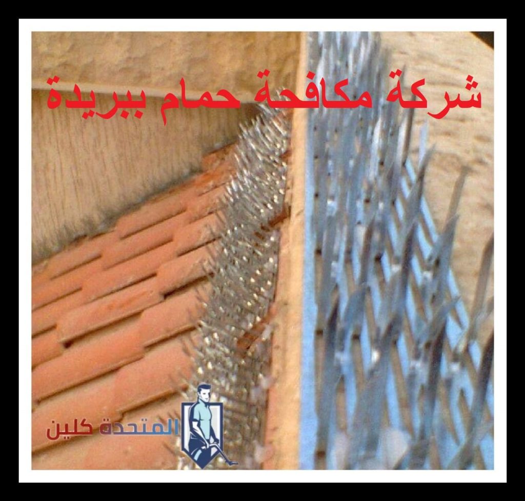 شركة مكافحة حمام ببريدة